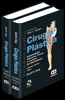 CIRUGIA PLASTICA EXTREMIDADES INFERIORES TRONCO Y LESIONES POR QUEMADURAS VOLUMEN 4