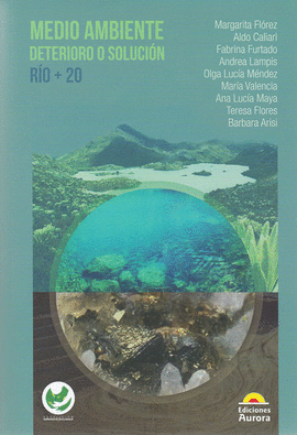 MEDIO AMBIENTE DETERIORO O SOLUCION RIO + 20