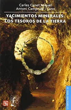 YACIMIENTOS MINERALES