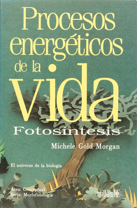 PROCESOS ENERGETICOS DE LA VIDA FOTOSINTESIS