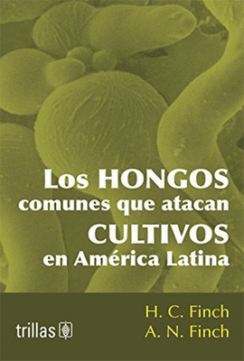LOS HONGOS COMUNES QUE ATACAN CULTIVOS EN AMERICA LATINA