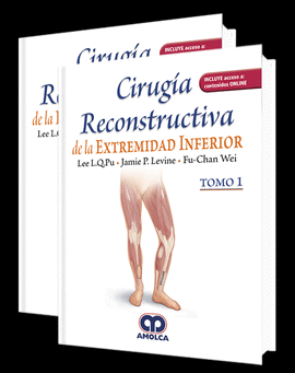 CIRUGIA RECONSTRUCTIVA DE LA EXTREMIDAD INFERIOR 2 VOLUMENE