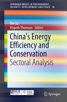 CHINA'S ENERGY EFFICIENCY AND CONSERVATION