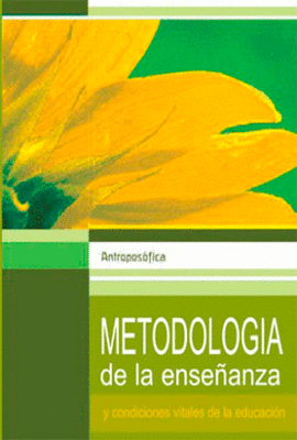 METODOLOGIA DE LA ENSEANZA