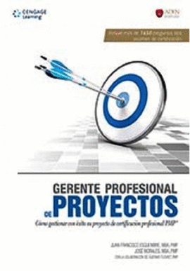 GERENTE PROFESIONAL DE PROYECTOS