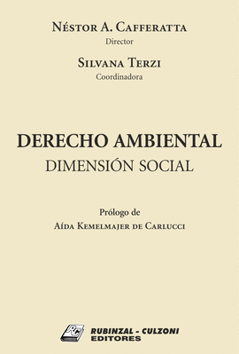 DERECHO AMBIENTAL DIMENSION SOCIAL