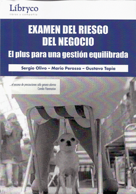 EXAMEN DEL RIESGO DEL NEGOCIO