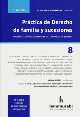PR�CTICA DE DERECHO DE FAMILIA Y SUCESIONES