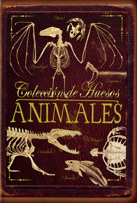 COLECCI�N DE HUESOS ANIMALES