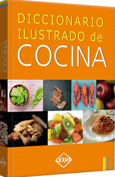 DICCIONARIO ILUSTRADO DE COCINA