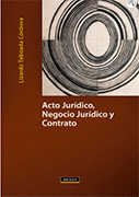 ACTO JURDICO, NEGOCIO JURDICO Y CONTRATO