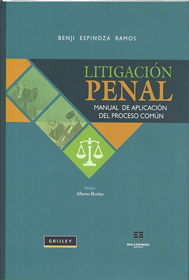 LITIGACION PENAL