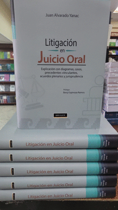 LITIGACION EN JUICIO ORAL