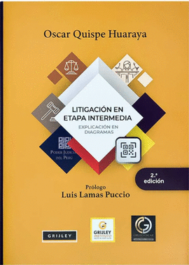 LITIGACIN EN ETAPA INTERMEDIA