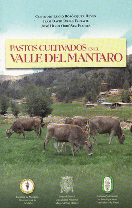 PASTOS CULTIVADOS EN EL VALLE DEL MANTARO