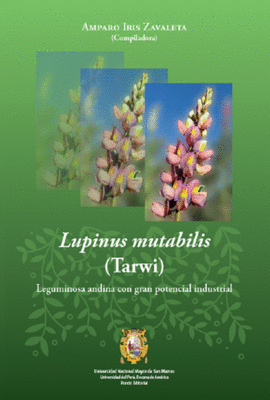 LUPINUS MUTABILIS (TARWI)