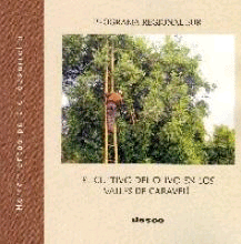 EL CULTIVO DEL OLIVO EN LOS VALLES DE CARAVELI