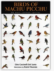 BIRDS OF MACHU PICCHU 86 MOST COMMON SPECIES